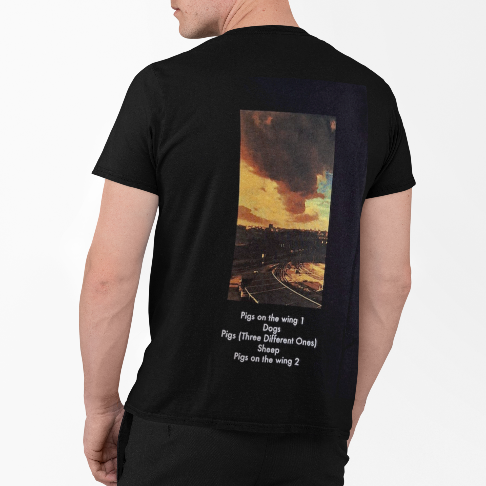 Polera Pink Floyd Animals